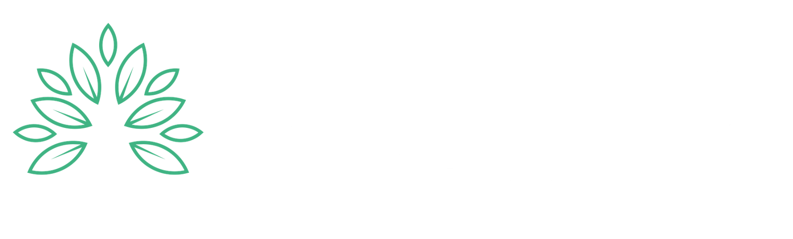 damosgroup